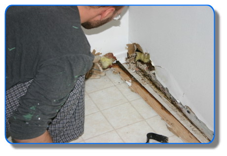 Image-Water Damage - Water Restoration - Serving:  Corte Madera, Fairfax, Kentfield, Larkspur, Lagunitas, Mill Valley, Novato, Petaluma, Ross, San Anselmo, San Francisco Bay Area, Sausalito, and Tiburon, California.